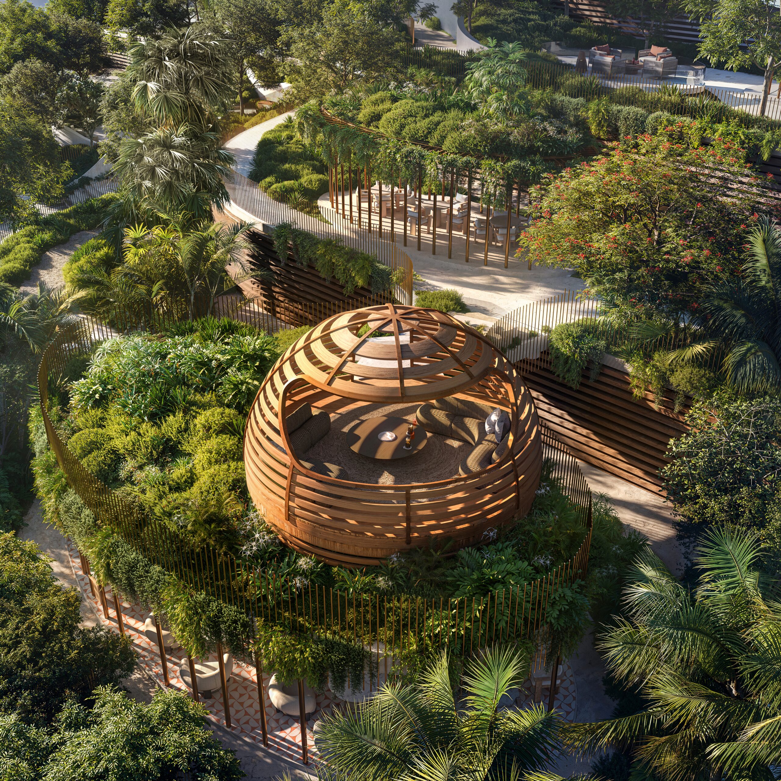 Canopy_Forest_Day